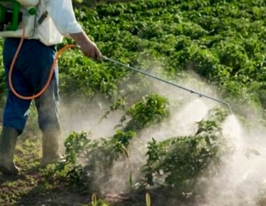organic cotton turkish manufacturing companies